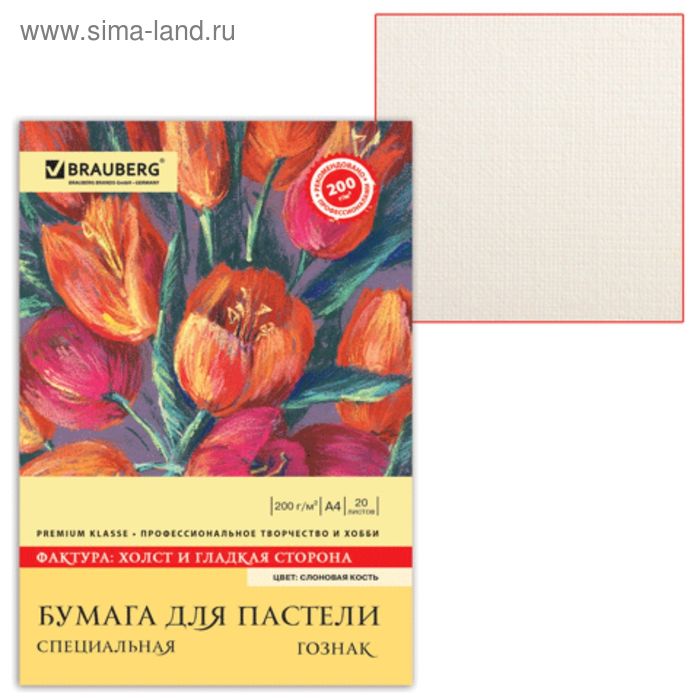 Папка для пастели А4 210 х 297 мм 20 листов тонированная бумага слоновая кость ГОЗНАК Холст блок 200 гм 344₽