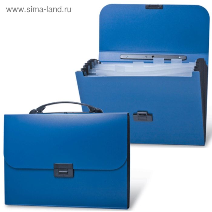 Портфель пластиковый А4 BRAUBERG Energy, 256 х 330 мм, 6 отделений, синий