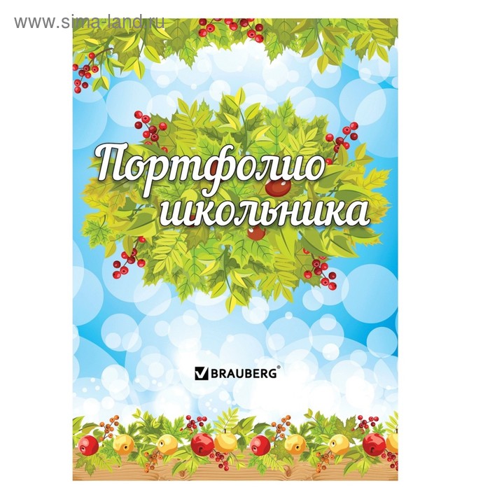 Портфолио школьника BRAUBERG, 16 листов: титульный лист, содержание, 14 разделов Окружающий мир листы вкладыши для портфолио школьника 30 листов титульный содержание 28 разделов российский школьник в папке