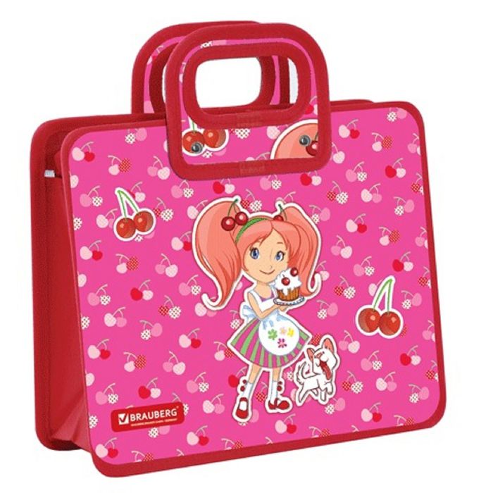 Папка с ручками пластиковая А4 280х230х100 микс