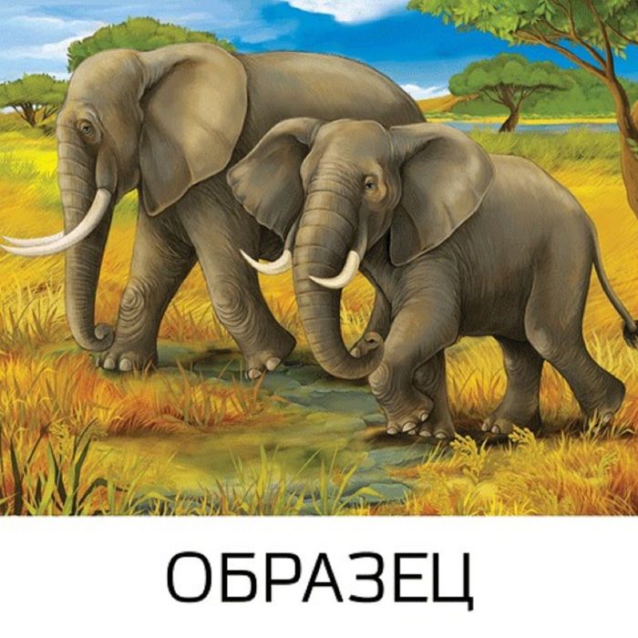 Холст грунтованный на картоне с контуром 30х40см, 100% хлопок, мелкое зерно "Слоны"