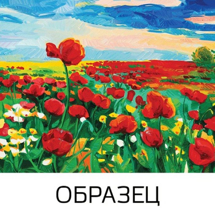 Холст грунтованный на картоне с контуром 30х40см, 100% хлопок, мелкое зерно "Маки"