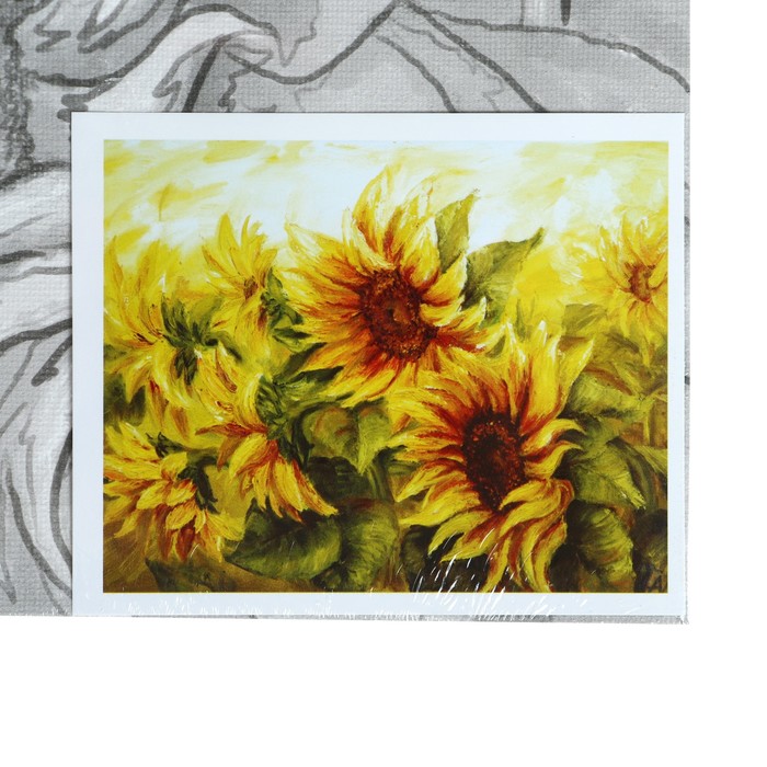 Холст грунтованный на картоне с контуром 30х40см, 100% хлопок, мелкое зерно "Подсолнухи"
