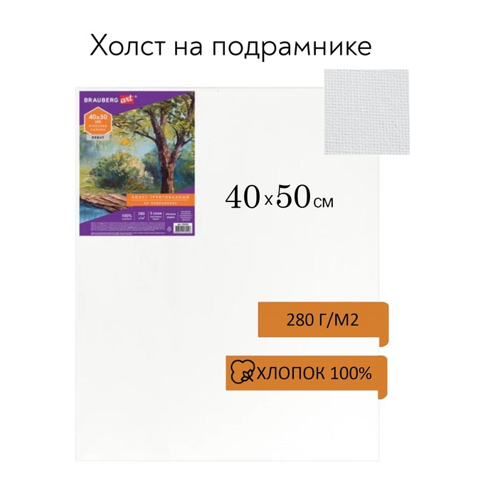 

Холст на подрамнике, хлопок 100%, 40 х 50 х 1,8 см, акриловый грунт, мелкозернистый, 280 г/м2, Brauberg, ЭКОНОМ
