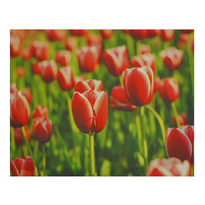 Картина на подрамнике "Поле тюльпанов"