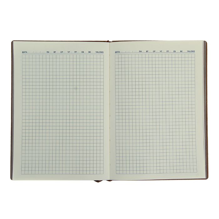 Ежедневник недат А5 120л кл,карта на форзаце,ляссе,обл пвх лайт Классика тонир срез МИКС