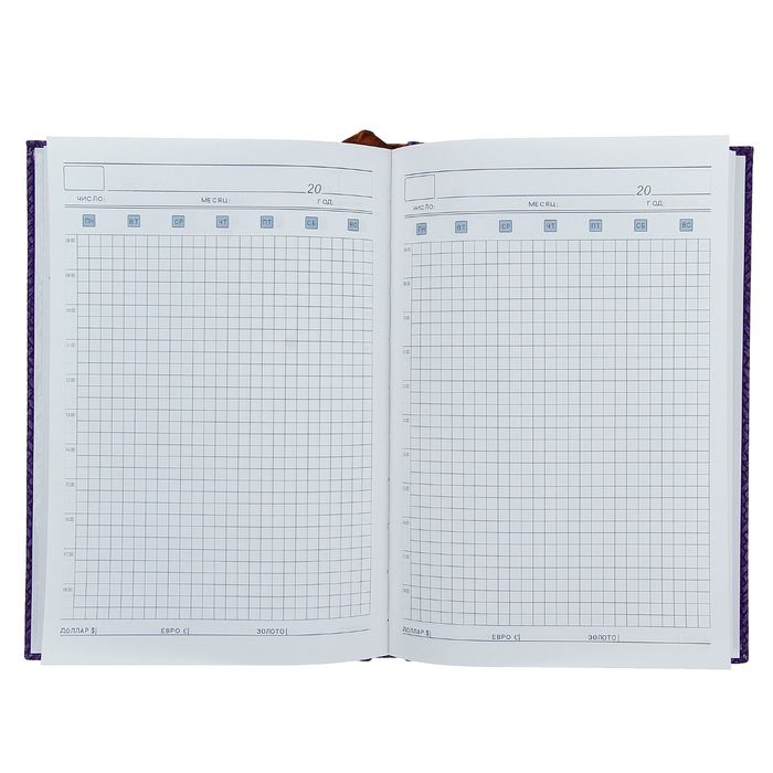 Ежедневник недат А5 140л кл,карта на форзаце,ляссе,обл пвх Стиль МИКС