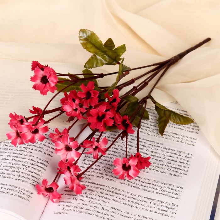 Букет "Маргаритки" микс