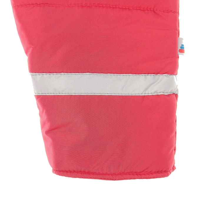 Полукомбинезон для девочки "КАНАДА", рост 122 см, цвет красный 9 вида 46