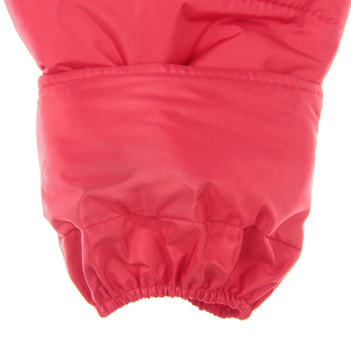 Полукомбинезон для девочки "КАНАДА", рост 122 см, цвет красный 9 вида 46