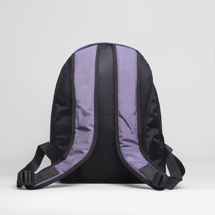 Рюкзак на молнии, 2 отдела, наружный карман, чёрный/серый