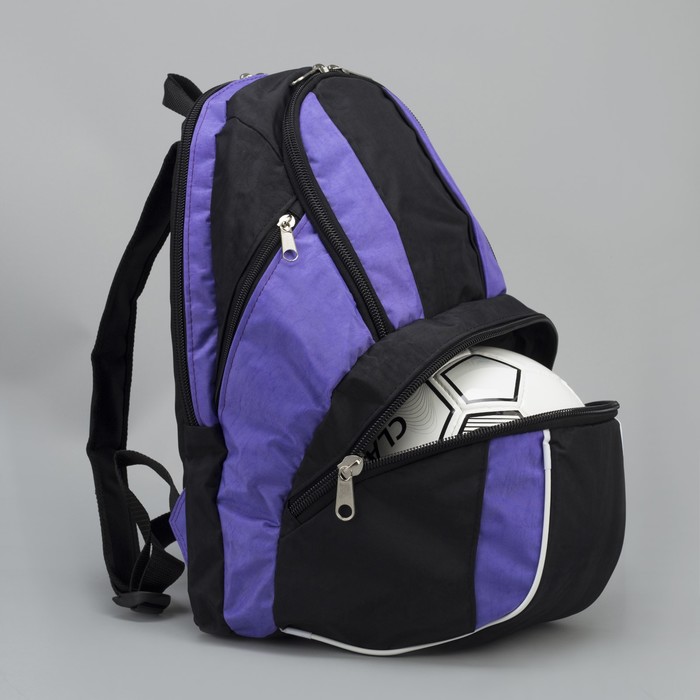 Рюкзак на молнии, 2 отдела, 3 наружных кармана, цвет чёрный/сиреневый