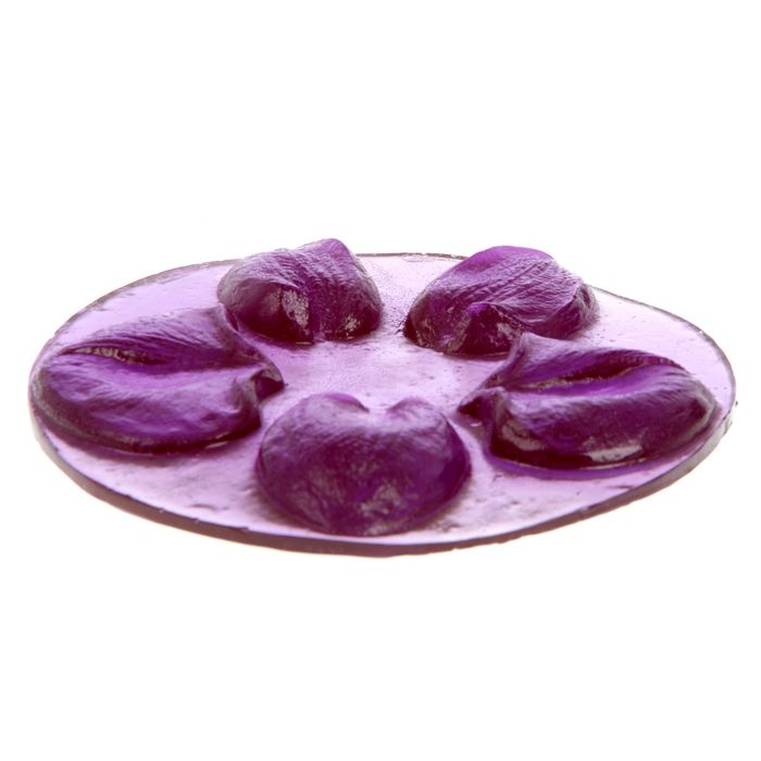 Молд пластик st-0140 "Фаленопсис"