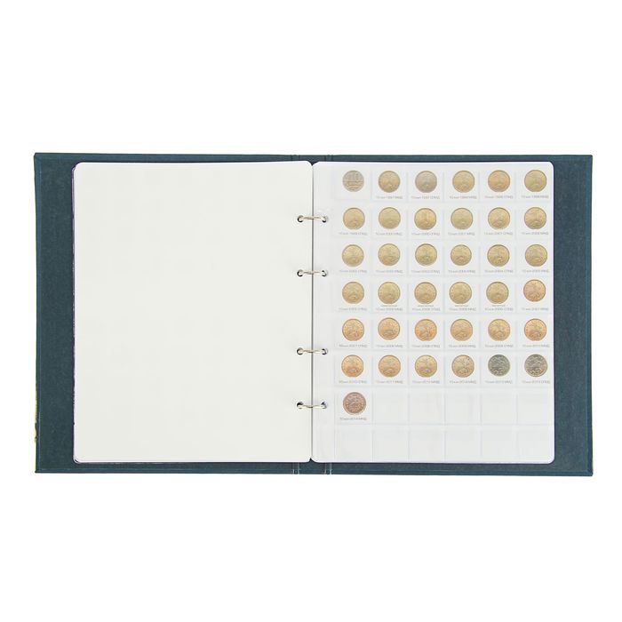 Альбом для монет на кольцах 225*265 мм "Монеты РФ регулярного выпуска 1991", обложка ламинированный картон, 8 листов и 8 цветных картонных вставок