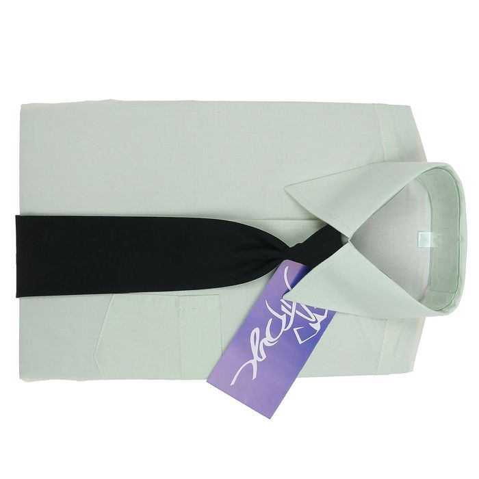 Сорочка для мальчика, нарядная с галстуком, рост 98-104 см (26), цвет салатовый 1181