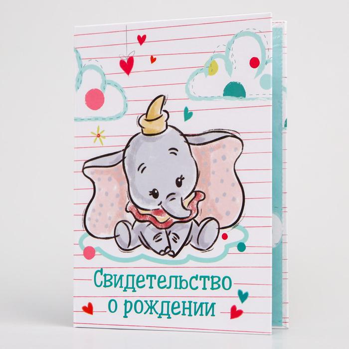 Папка для свидетельства о рождении А5 "Принцессы" с файлом для полиса