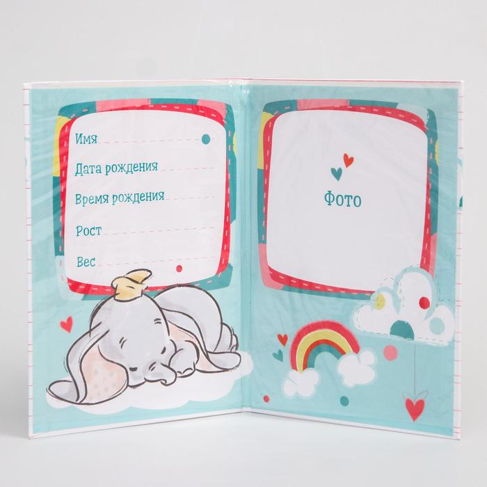 Папка для свидетельства о рождении А5 "Принцессы" с файлом для полиса