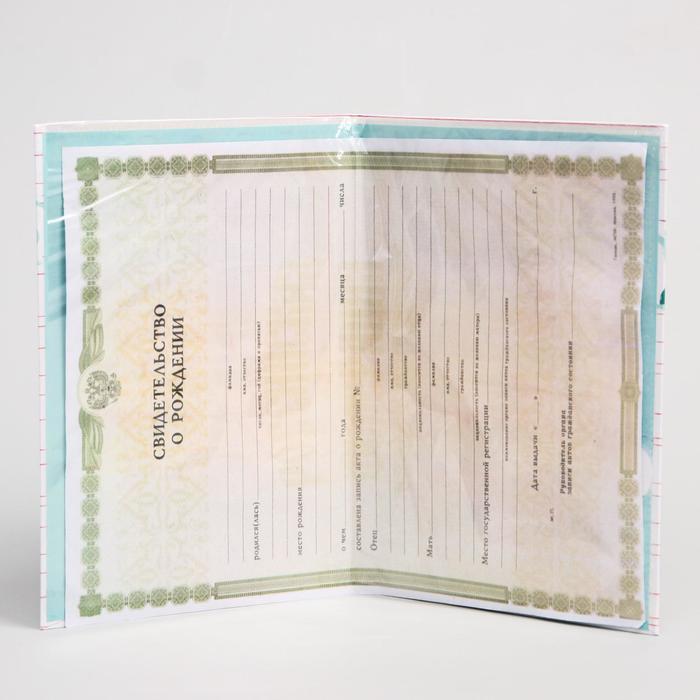Папка для свидетельства о рождении А5 "Принцессы" с файлом для полиса