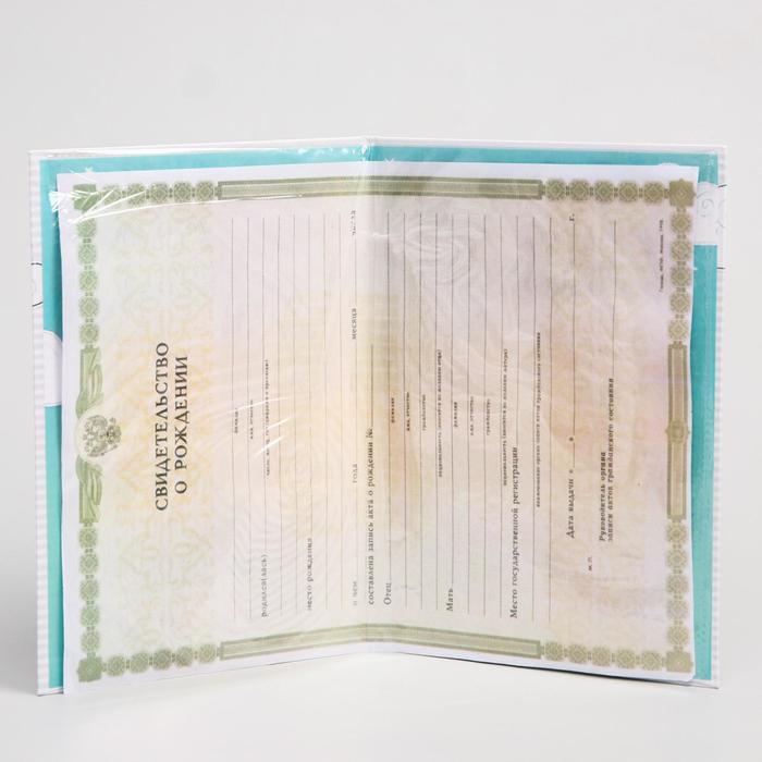 Папка для свидетельства о рождении А5 "Эльза", Холодное сердце