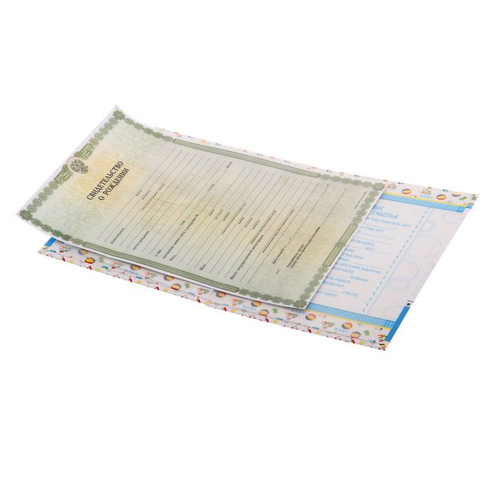 Папка для свидетельства о рождении А5 "Дисней Бейби: Медвежонок Винни и друзья" для мальчика