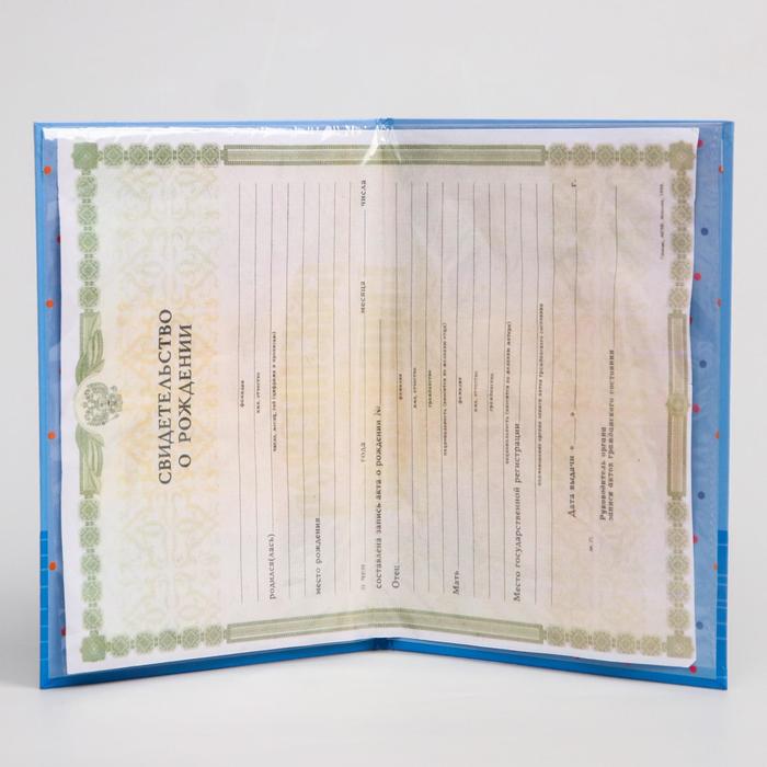 Папка для свидетельства о рождении А5 "Микки Маус и друзья"