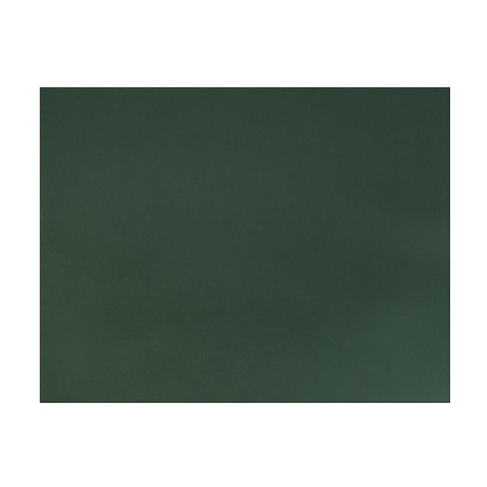Картон цветной 650*500 мм Sadipal Sirio 170 г/м2 зеленый темный 05941