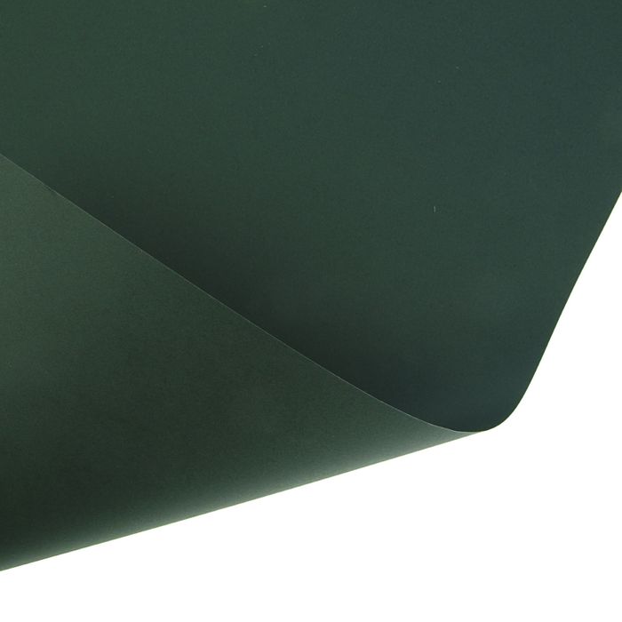 Картон цветной 650*500 мм Sadipal Sirio 170 г/м2 зеленый темный 05941