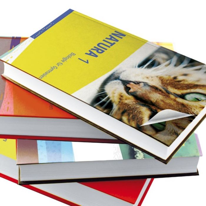 Самоклеящаяся пленка Витраж 0,45x15 м