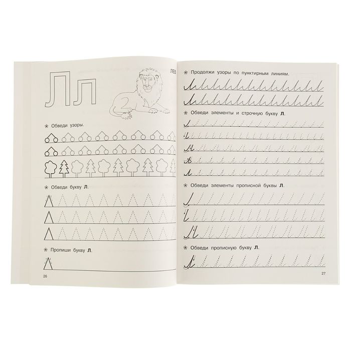 Большие прописи для подготовки к школе. Автор: Дмитриева В.Г.