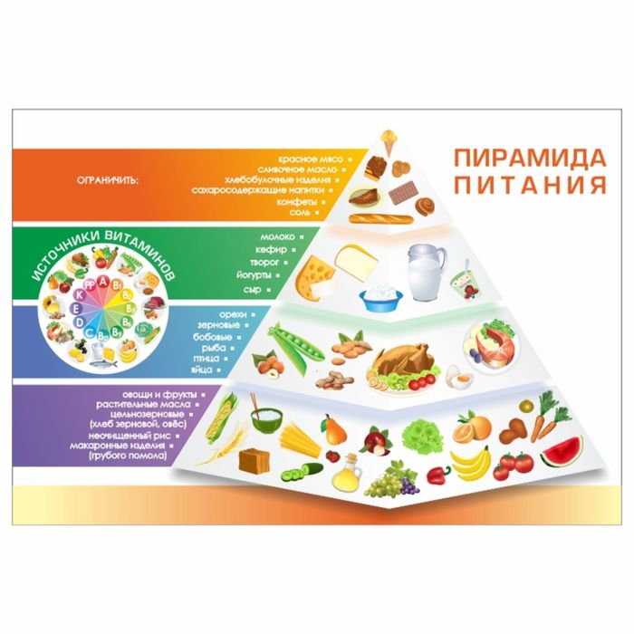 Стенд "Пирамида питания"