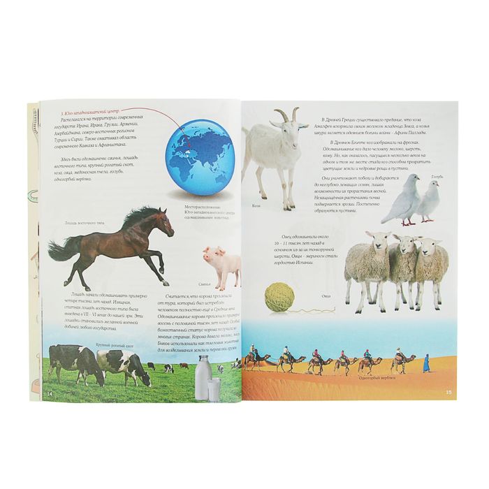 Что? Когда и Почему? "Домашние питомцы и кто за них в ответе"