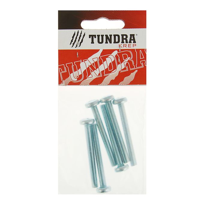 Винт с полукруглой головкой DIN7985 TUNDRA krep, оцинкованный, M6х50 мм, в пакете 6 шт.
