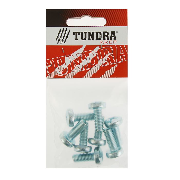 Винт с полукруглой головкой DIN7985 TUNDRA krep, оцинкованный, M8х20 мм, в пакете 8 шт.