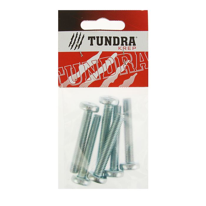 Винт с полукруглой головкой DIN7985 TUNDRA krep, оцинкованный, M8х50 мм, в пакете 6 шт.