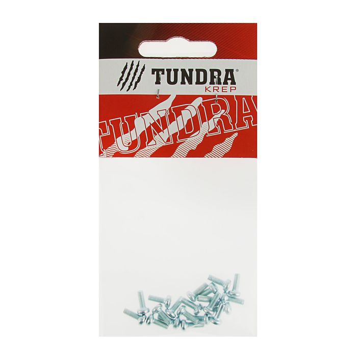 Винт с полукруглой головкой DIN7985 TUNDRA krep, оцинкованный, М3х8 мм, в пакете 20 шт.