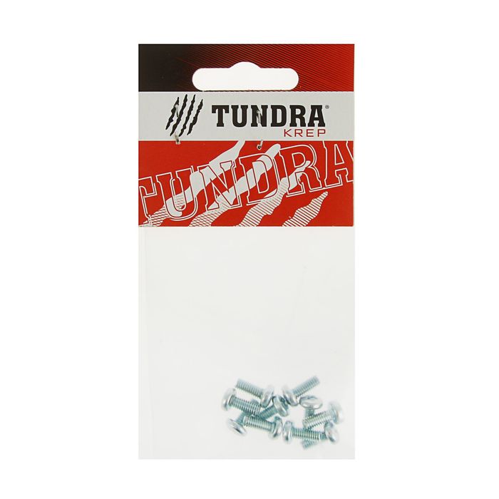 Винт с полукруглой головкой DIN7985 TUNDRA krep, оцинкованный, М4х10 мм, в пакете 10 шт.