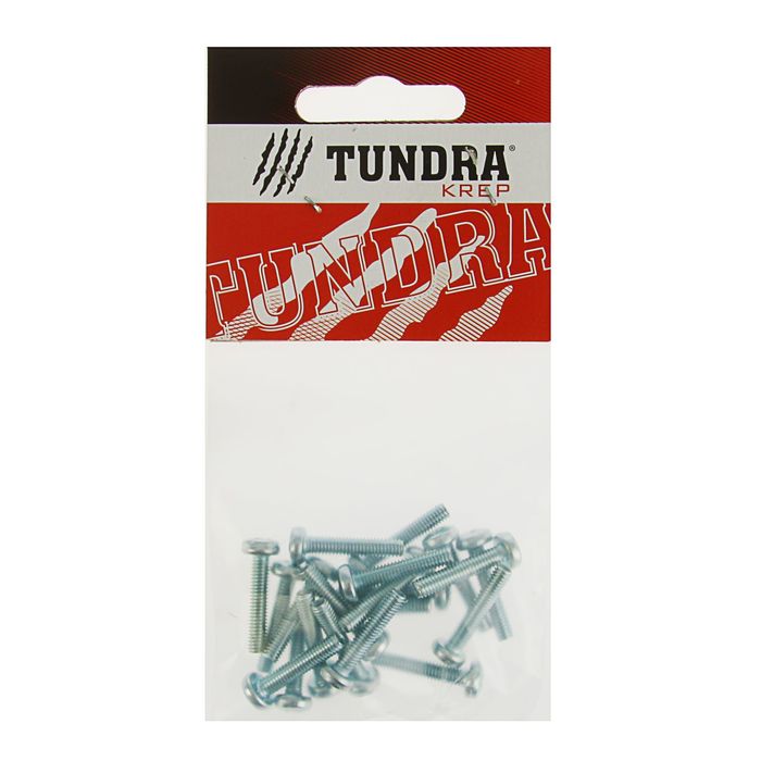 Винт с полукруглой головкой DIN7985 TUNDRA krep, оцинкованный, М4х20 мм, в пакете 20 шт.