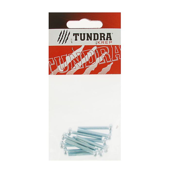 Винт с полукруглой головкой DIN7985 TUNDRA krep, оцинкованный, М4х30 мм, в пакете 10 шт.