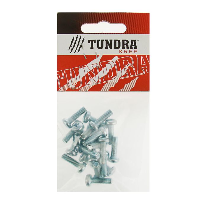 Винт с полукруглой головкой DIN7985 TUNDRA krep, оцинкованный, М5х16 мм, в пакете 20 шт.