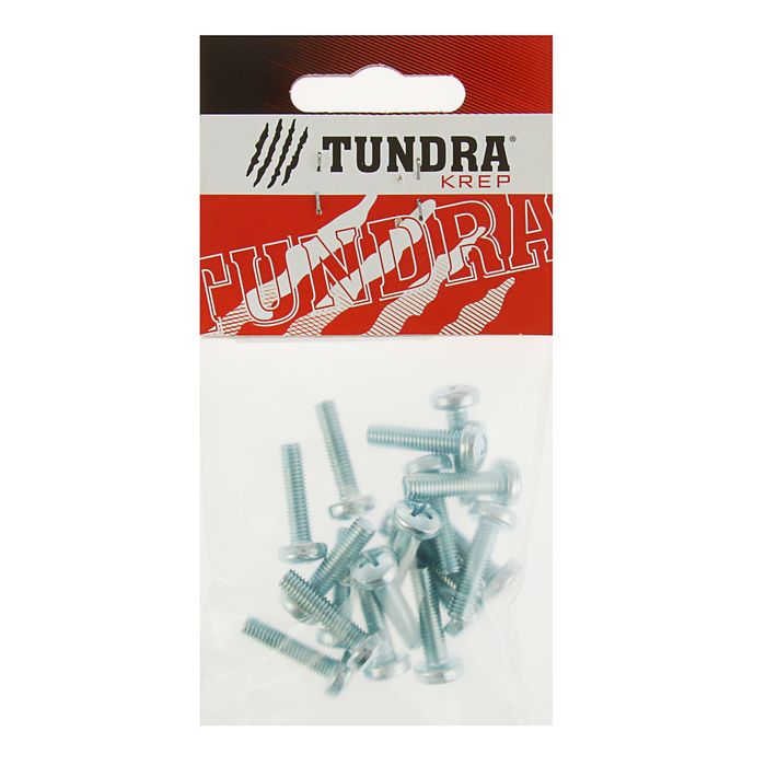 Винт с полукруглой головкой DIN7985 TUNDRA krep, оцинкованный, М5х20 мм, в пакете 18 шт.