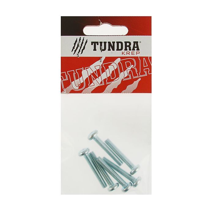 Винт с полукруглой головкой DIN7985 TUNDRA krep, оцинкованный, М5х30 мм, в пакете 6 шт.