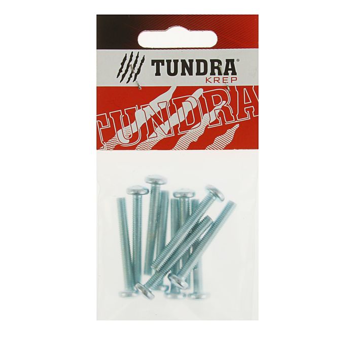 Винт с полукруглой головкой DIN7985 TUNDRA krep, оцинкованный, М5х40 мм, в пакете 10 шт.