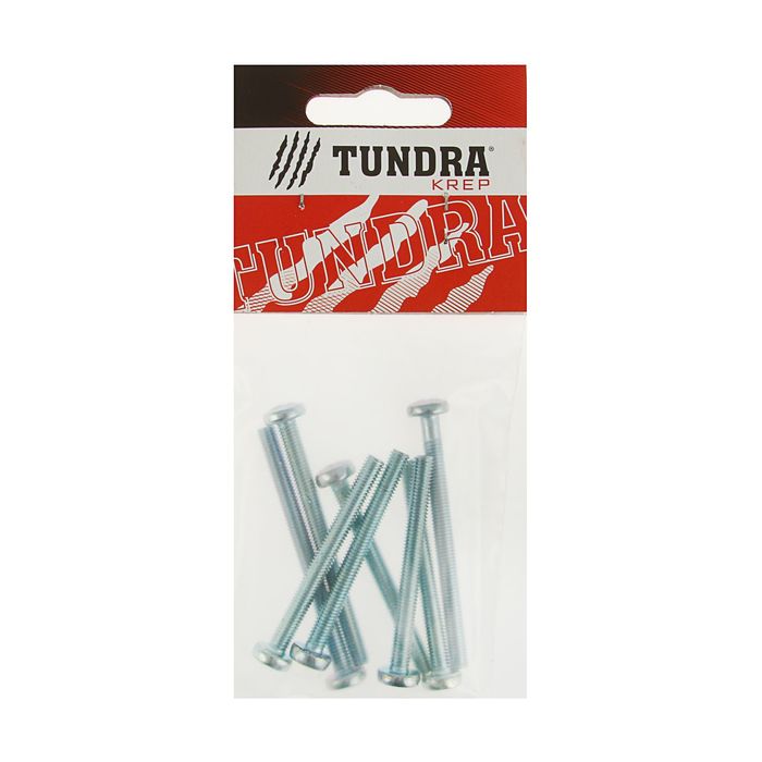 Винт с полукруглой головкой DIN7985 TUNDRA krep, оцинкованный, М5х50 мм, в пакете 8 шт.