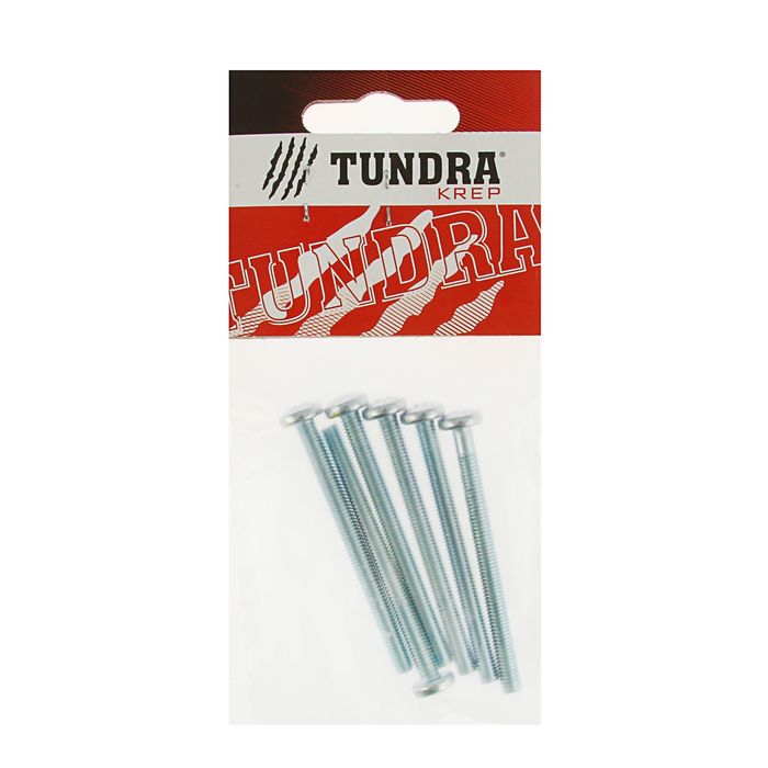 Винт с полукруглой головкой DIN7985 TUNDRA krep, оцинкованный, М5х60 мм, в пакете 6 шт.