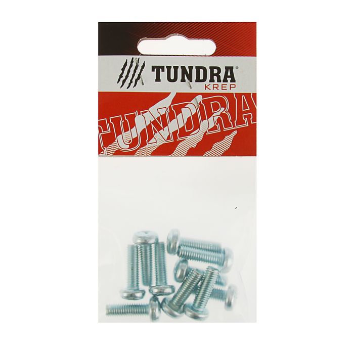 Винт с полукруглой головкой DIN7985 TUNDRA krep, оцинкованный, М6х20 мм, в пакете 10 шт.