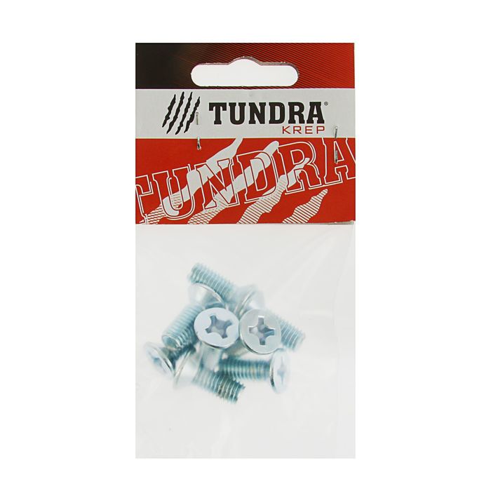 Винт DIN965 TUNDRA krep, с потайной головкой, оцинк. M8х20 мм, в пакете 8 шт.