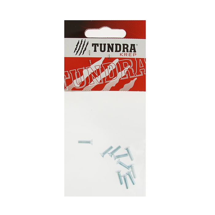 Винт DIN965 TUNDRA krep, с потайной головкой, оцинк. М3х12 мм, в пакете 10 шт.