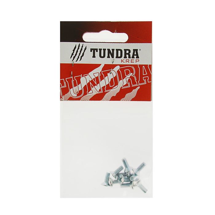 Винт DIN965 TUNDRA krep, с потайной головкой, оцинк. М4х10 мм, в пакете 10 шт.
