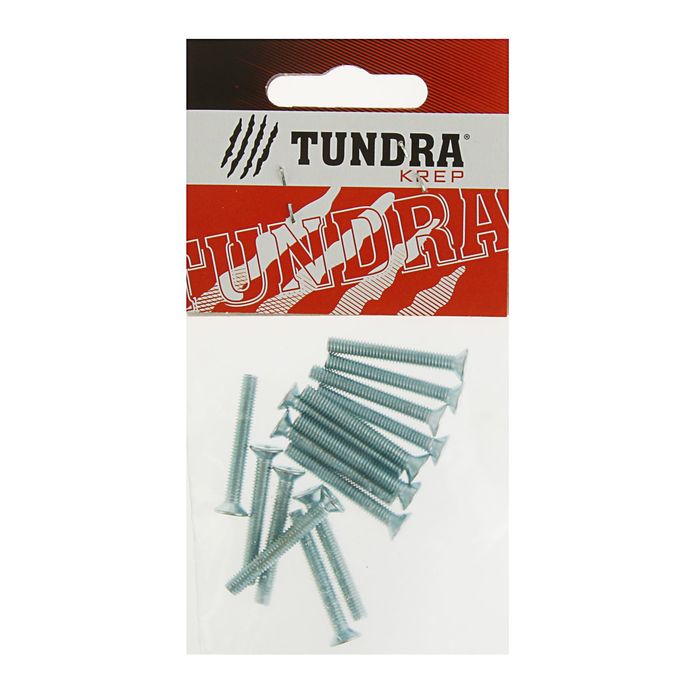 Винт DIN965 TUNDRA krep, с потайной головкой, оцинк. М4х30 мм, в пакете 15 шт.