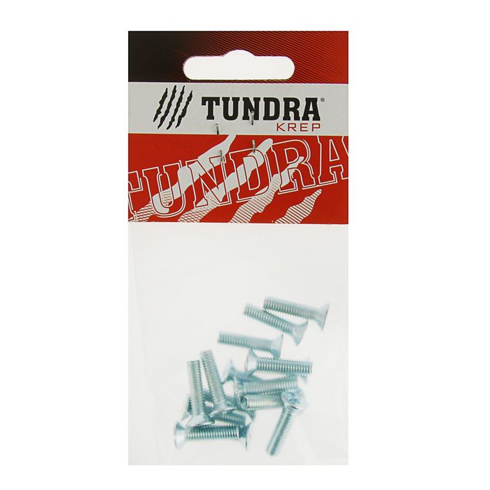Винт DIN965 TUNDRA krep, с потайной головкой, оцинк. М5х20 мм, в пакете 15 шт.